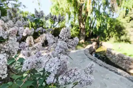 Качинская - 52