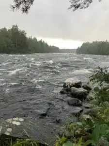 Сегежа Парк - 72