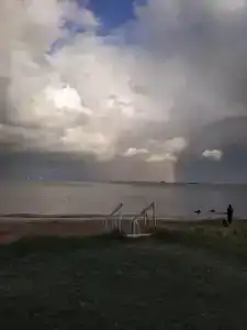 Лунный Бриз - 64