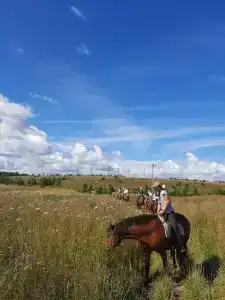 Конная база в Михайловском - 93