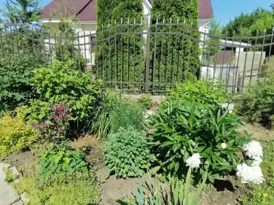 Волшебный Сад - 51