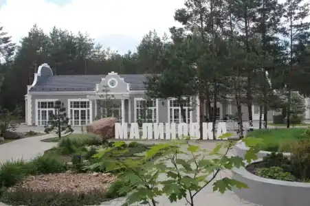 Малиновка - 43