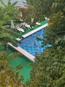 Фламинго - 46