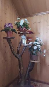 Татьянин дом - 7