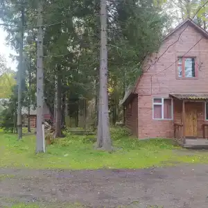 Конни - 39