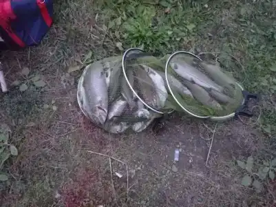 Рыбалка на Юдинках - 28