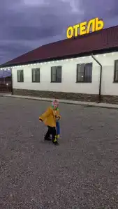 Феникс - 24