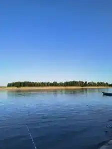 Лес и Рыба - 41
