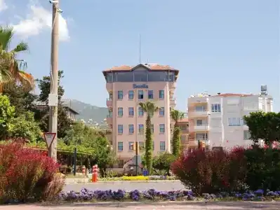 Rosella - 31