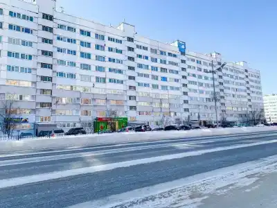 Полярис - 1