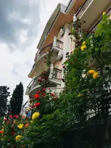 Мечта - 11