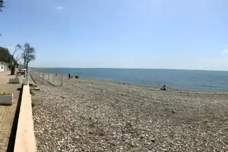 Маргарита - 3