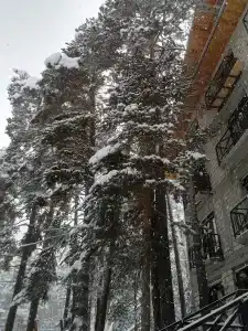 Hillside Cheget - 15