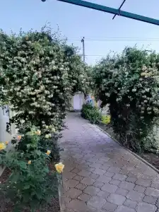 Бриз - 9