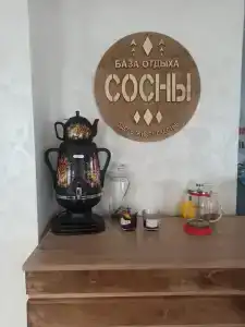 Сосны - 24