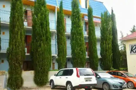 Кипарис-канака - 0