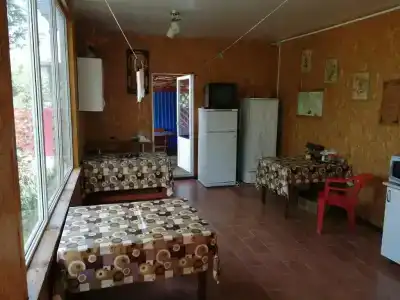 Амурчанка - 3