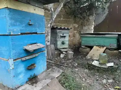 Дача у Бориса - 3