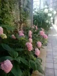 Морское Небо - 39