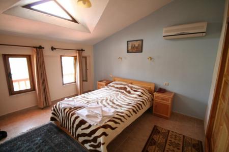 Portakal Dalyan - 34