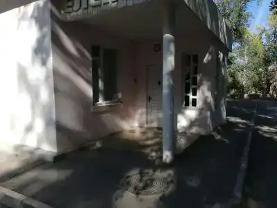 Елень - 6