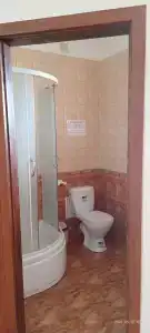 Розовый Фламинго - 2