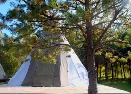 Hoki Camp - 1