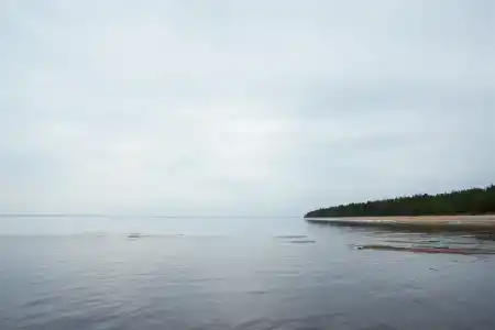 Восток-6 - 39