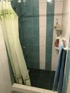 Лев на солнце - 28