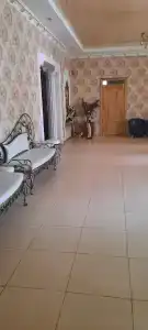 Аланский двор - 12