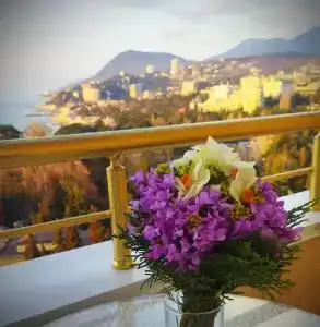 Бартон Парк - 29