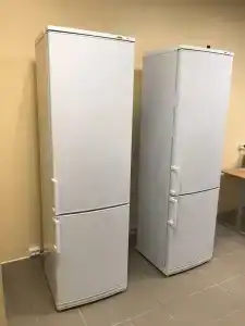 Часцы - 50