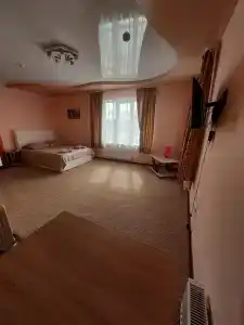 Васильки - 20