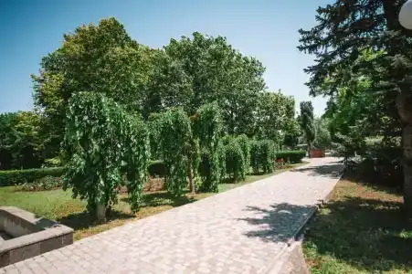 Рябинка - 48