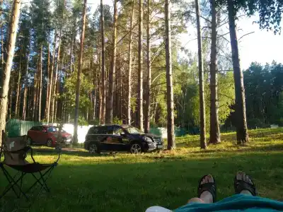 Медвежий угол - 14