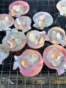 Гольфстрим - 44