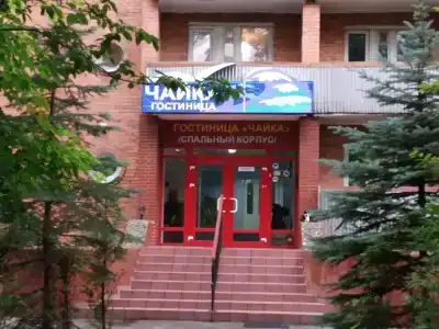 Чайка - 1