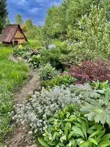 Медвежье урочище - 21