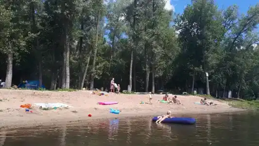 Лесная сказка - 0