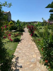 Datca Doris - 21