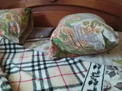 Визит - 6