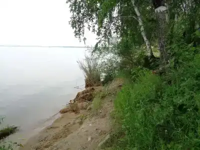 Солнечная Поляна - 52