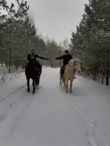 ХвояХутор - Казачий Курень - 28