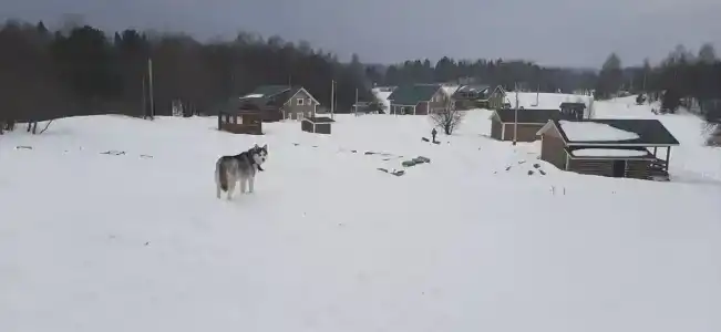 Фазенда Глухомань - 27