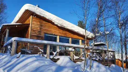 Арктик Хоум - 61