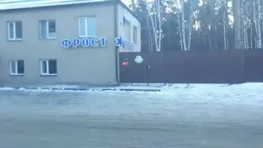 Киви - 8