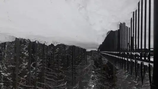 Айвенго - 2