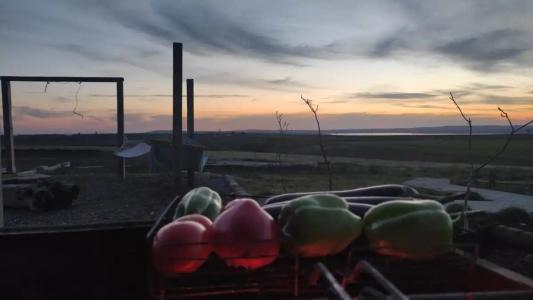 Фридом Веселовка - 91