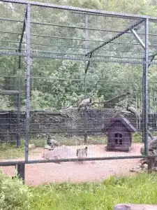 Рупасовские пруды - 16