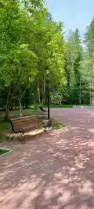 Лесная сказка - 31
